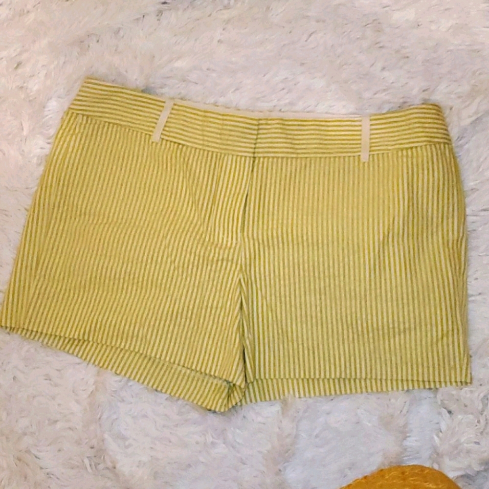 J. Crew Shorts